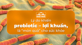 Lý do khiến bổ sung probiotic – lợi khuẩn là “món quà” cho sức khỏe