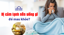 Bị cảm lạnh nên uống gì để mau khỏe?