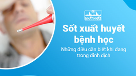 Sốt xuất huyết bệnh học: Những điều cần biết khi đang trong đỉnh dịch