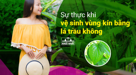 Sự thực khi vệ sinh vùng kín bằng lá trầu không 