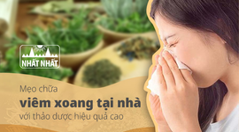 Mẹo chữa viêm xoang tại nhà với thảo dược hiệu quả cao