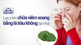 Lưu ý khi chữa viêm xoang bằng lá trầu không tại nhà 