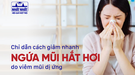 Chỉ dẫn cách giảm nhanh ngứa mũi hắt hơi do viêm mũi dị ứng 