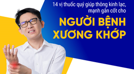 14 vị thuốc quý giúp thông kinh lạc, mạnh gân cốt cho bệnh xương khớp