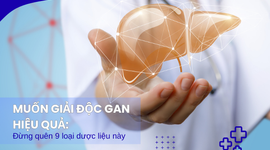 Muốn giải độc gan hiệu quả: Đừng quên 9 dược liệu này