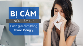 Bị cảm nên làm gì? Cách giải cảm bằng thuốc Đông y