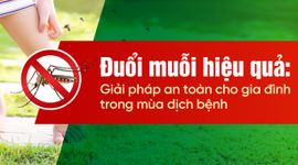 Đuổi muỗi hiệu quả: Giải pháp an toàn cho gia đình trong mùa dịch bệnh