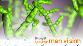 Bí quyết lựa chọn men vi sinh chất lượng tốt