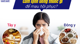 Giải đáp: Cảm lạnh uống thuốc gì để mau hồi phục?