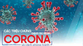 Các triệu chứng bệnh do virus corona và cách phòng tránh