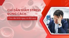 Chỉ dẫn giảm stress đúng cách – Cứu não khỏi nguy cơ đột quỵ!