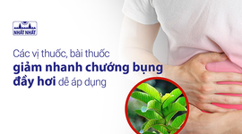 Các vị thuốc, bài thuốc giảm nhanh chướng bụng đầy hơi dễ áp dụng