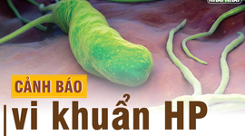 Tìm hiểu phác đồ điều trị vi khuẩn HP kháng thuốc