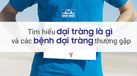 Tìm hiểu đại tràng là gì và các bệnh đại tràng thường gặp