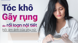 Tóc khô, gãy rụng do rối loạn nội tiết – Nỗi ám ảnh của phụ nữ