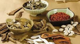 Thuốc nội tiết Đông y thế hệ 2 điều trị các bệnh tiền mãn kinh