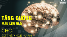 Tăng cường máu lên não cho cơ thể khỏe mạnh