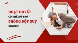 Hoạt huyết có thể hỗ trợ phòng đột quỵ không? Giải đáp chi tiết