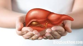 Tăng cường chức năng gan cho người già