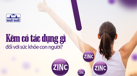 Kẽm có tác dụng gì đối với sức khỏe con người?