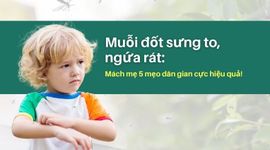 Muỗi đốt sưng to, ngứa rát: Mách mẹ 5 mẹo dân gian cực hiệu quả!