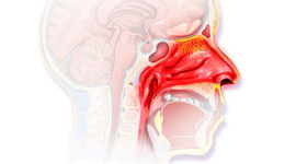 Viêm mũi phù nề: Nguyên nhân và các biện pháp điều trị