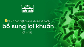 5 lợi ích đặc biệt của lợi khuẩn với sức khỏe và cách bổ sung lợi khuẩn tốt nhất