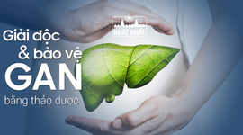 Cách giải độc gan, bảo vệ gan bằng thảo dược tự nhiên