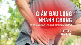 Giảm đau lưng nhanh chóng bằng dược liệu có sẵn trong vườn nhà