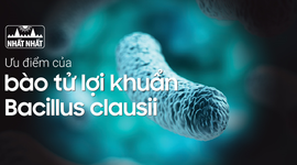 Những ưu điểm của bào tử lợi khuẩn Bacillus clausii trong men vi sinh Bio Vigor