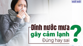 Dính nước mưa gây cảm lạnh: Đúng hay sai?