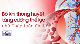 Bổ khí thông huyết tăng cường thể lực nhờ Thập toàn đại bổ