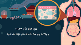Thay đổi cơ địa – Sự khác biệt giữa thuốc Đông và Tây y