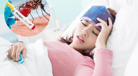 Giải đáp: Sốt xuất huyết làm gì cho nhanh khỏi?