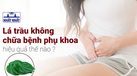Lá trầu không chữa bệnh phụ khoa hiệu quả thế nào? Đây là sự thật!