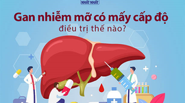 Gan nhiễm mỡ có mấy cấp độ, điều trị thế nào?