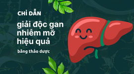 Chỉ dẫn giải độc gan nhiễm mỡ hiệu quả bằng thảo dược