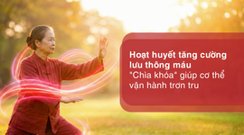 Hoạt huyết tăng cường lưu thông máu – "chìa khóa" giúp cơ thể vận hành trơn tru