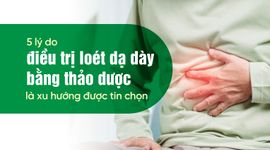5 lý do điều trị loét dạ dày bằng thảo dược là xu hướng được tin chọn