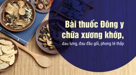 Bài thuốc Đông y chữa xương khớp, đau lưng, đau đầu gối, phong tê thấp