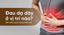 Đau dạ dày ở vị trí nào? Rất nhiều người đang nhầm lẫn