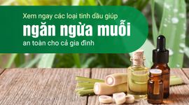 Xem ngay các loại tinh dầu giúp ngăn ngừa muỗi an toàn cho cả gia đình