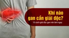 Khi nào gan cần giải độc? 10 cách giải độc gan nên làm ngay