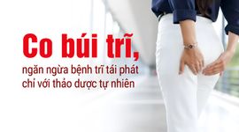 Co búi trĩ, ngăn ngừa bệnh trĩ tái phát chỉ với thảo dược tự nhiên