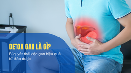 Detox gan là gì? Bí quyết thải độc gan hiệu quả từ thảo dược