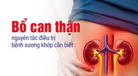 Bổ can thận - nguyên tắc điều trị bệnh xương khớp cần biết