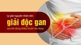 Lý giải nguyên nhân nên giải độc gan sau khi dùng nhiều thuốc tân dược