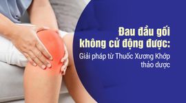 Đau đầu gối không cử động được: Giải pháp từ Thuốc Xương Khớp thảo dược