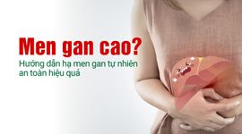 Men gan cao? Hướng dẫn hạ men gan tự nhiên an toàn hiệu quả