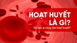 Hoạt huyết là gì? Tại sao ai cũng cần hoạt huyết?